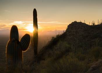 Arizona
